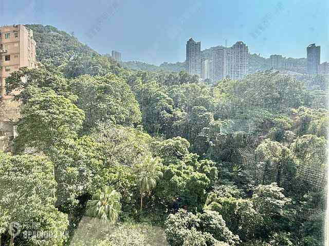 Wan Chai - Star Crest 01