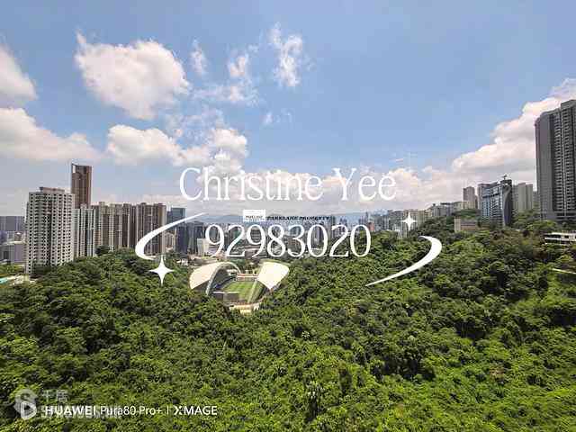 跑马地 - 渣甸山花园大厦 01