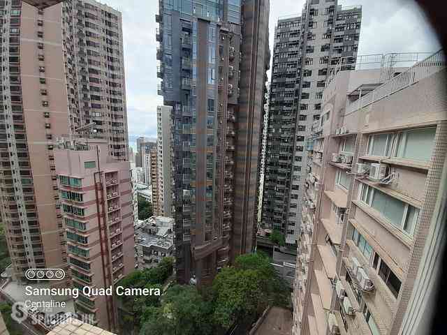 Mid Levels West - Greenview Gardens 12