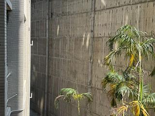Braemar Hill - Wilshire Towers Block B 19
