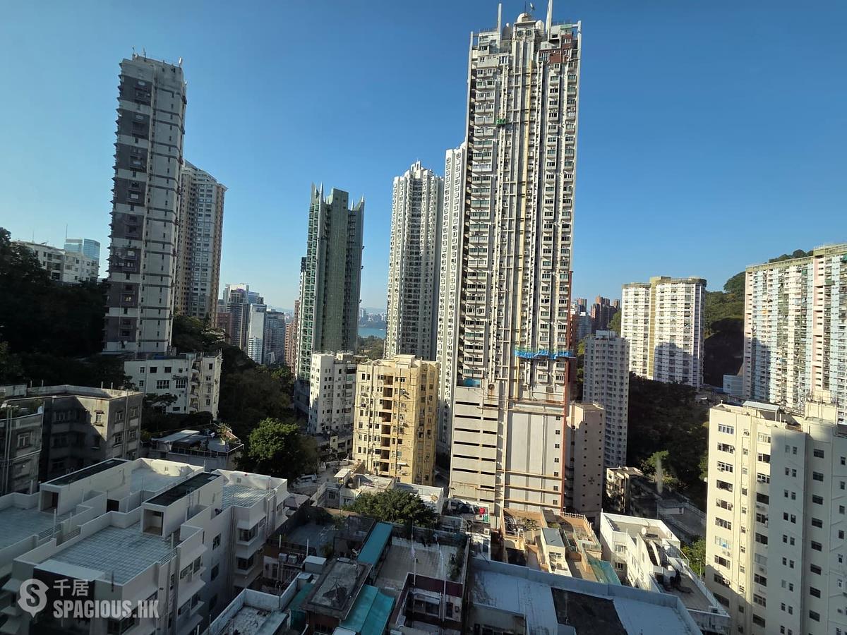 Tai Hang - Rosedale 01