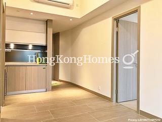 Shau Kei Wan - Lime Gala 04