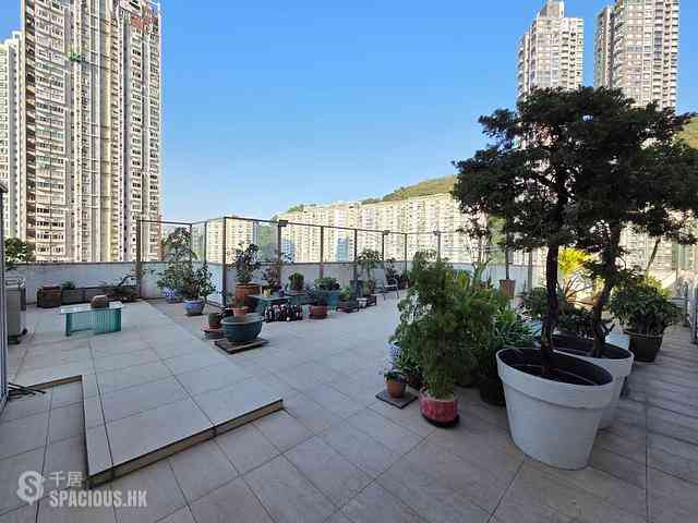 Tai Hang - Rosedale 01