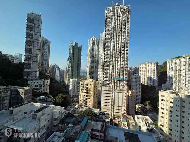 Tai Hang - Rosedale 02