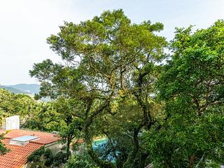 The Peak - Strawberry Hill 02