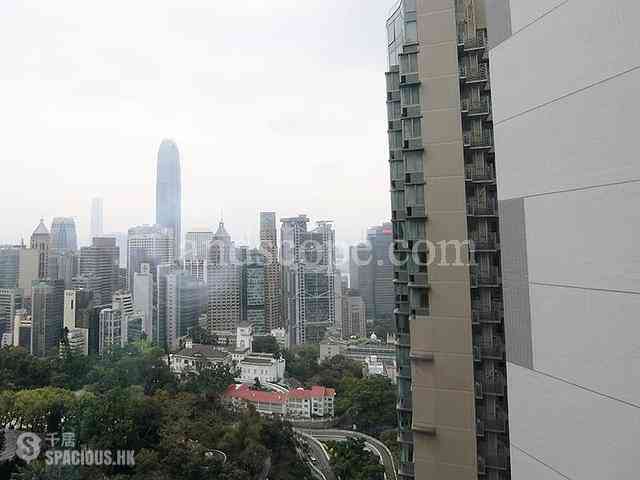 Mid Levels Central - 3, MacDonnell Road 02