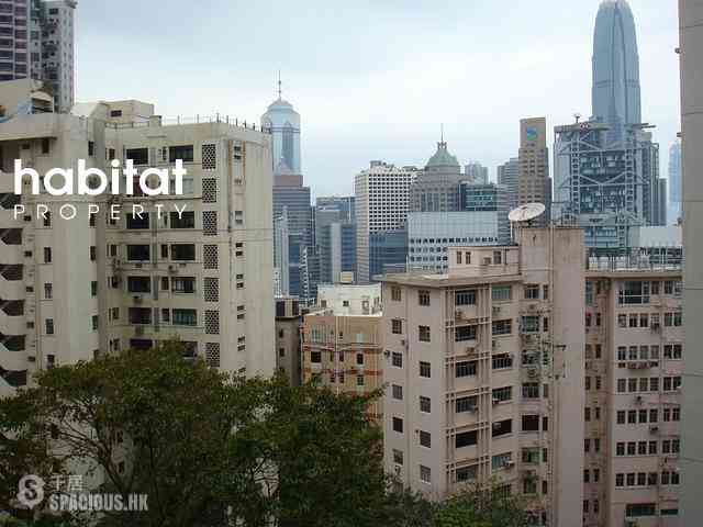 中半山 - 好景大廈 01