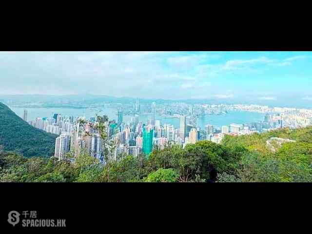 The Peak - Ridgeway 12