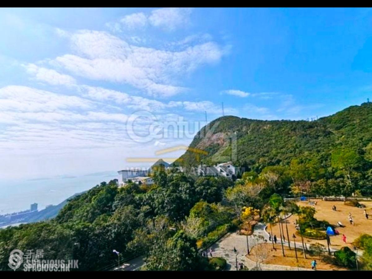 The Peak - The Mount Austin 01