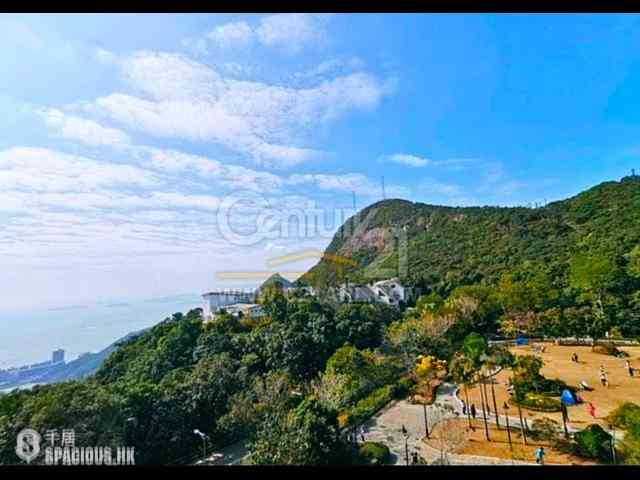 The Peak - The Mount Austin 01