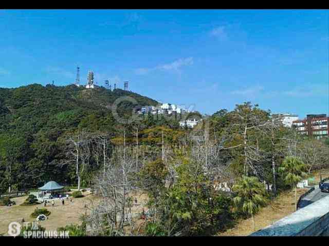 The Peak - The Mount Austin 10