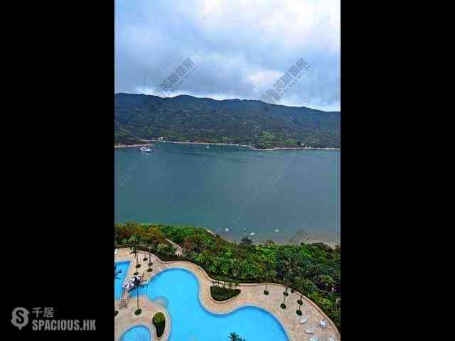 Stanley - Redhill Peninsula 14