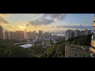 Tai Hang - Jardini 02