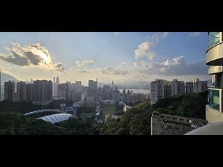 Tai Hang - Jardini 12
