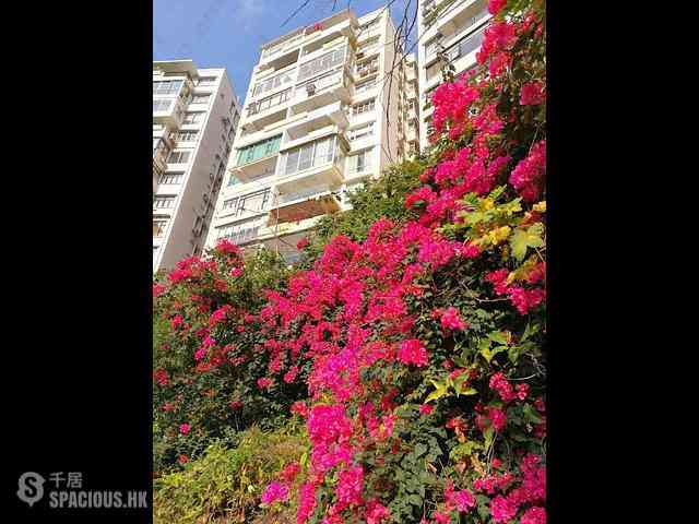 Mid Levels Central - Robinson Garden Apartments Block 3D-3E, Robinson Road 01