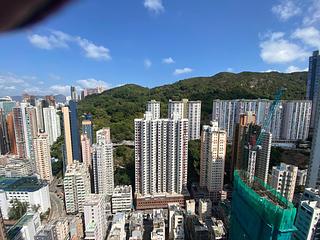 Tai Hang - Warrenwoods 06