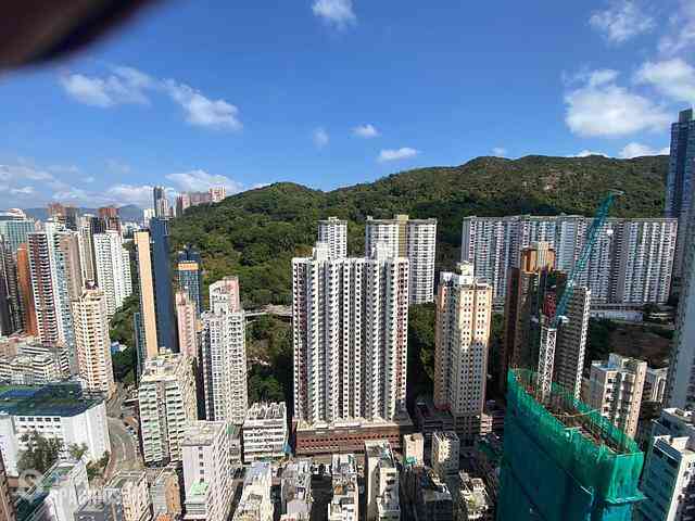 Tai Hang - Warrenwoods 06