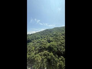 Tai Hang - Ronsdale Garden 02