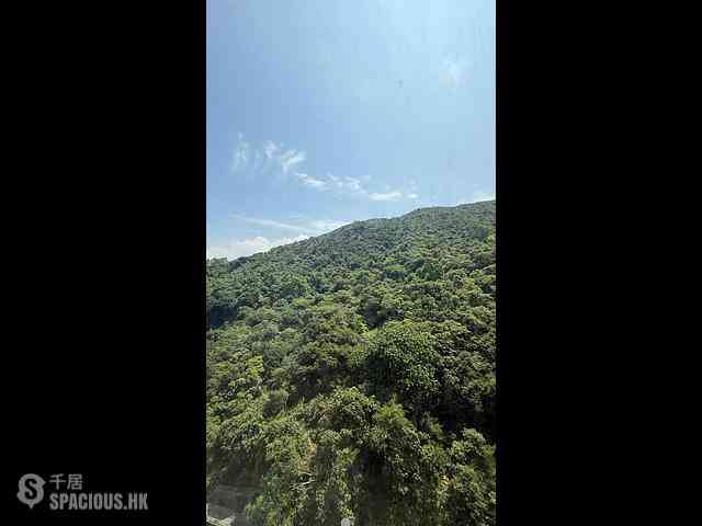 Tai Hang - Ronsdale Garden 02