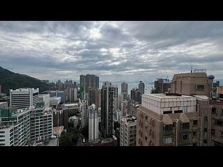 Sai Ying Pun - The Babington 21