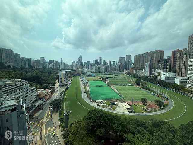 Happy Valley - Unique Tower 06