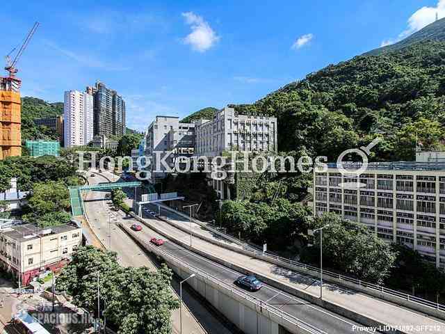 Shau Kei Wan - Lime Gala 02