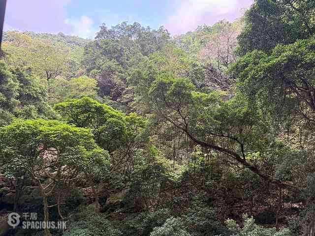 Tin Hau - The Pavilia Hill Block 5 01