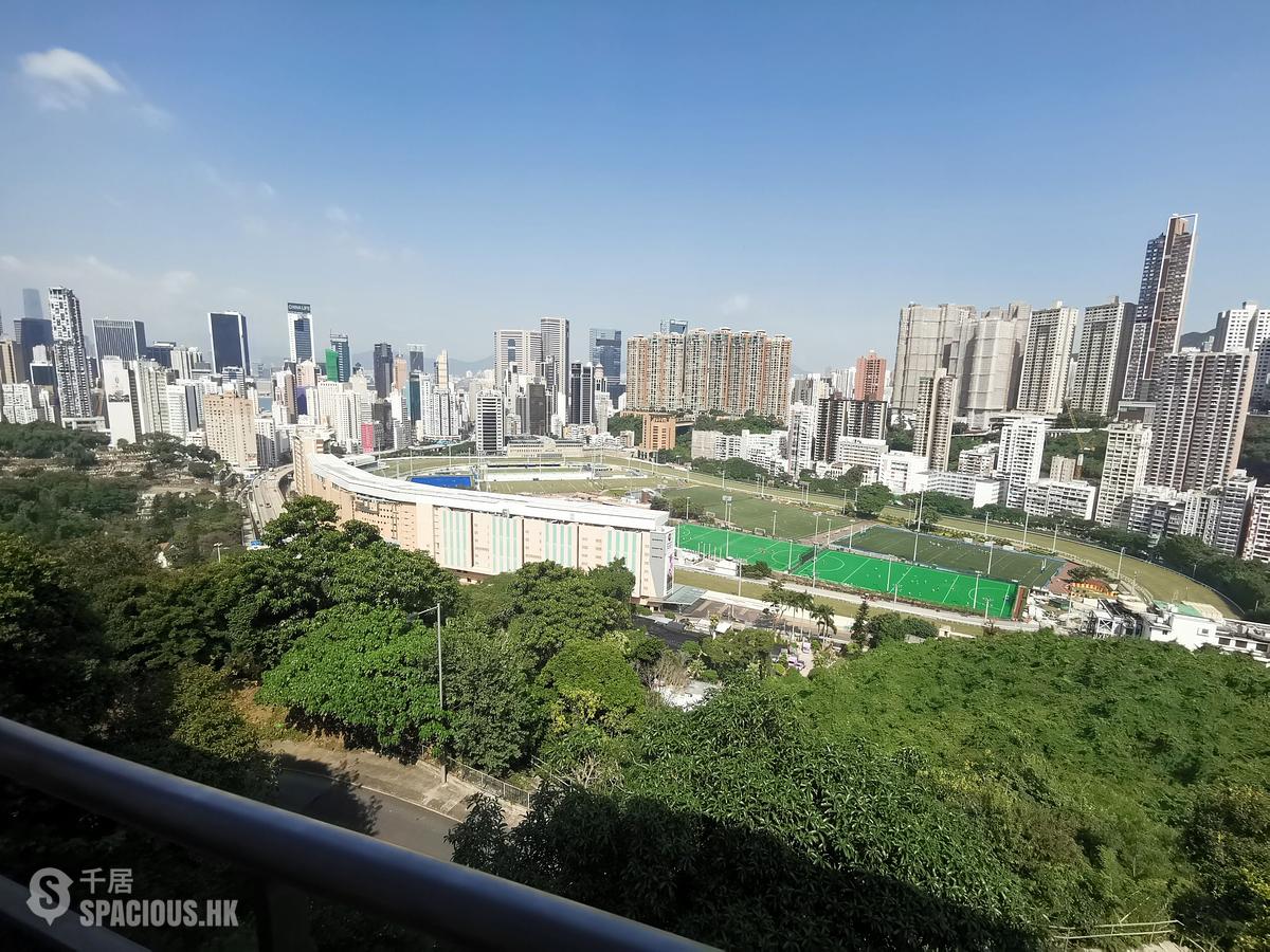 司徒拔道 - 东山台24号 01