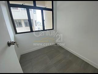 Stanley - Stanley Knoll 06