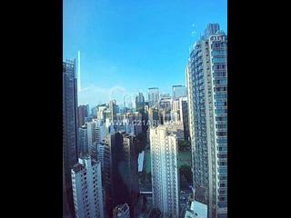 Wan Chai - The Avenue 06