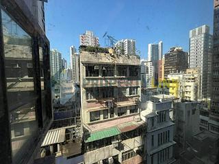 Poho - Rich View Terrace 12
