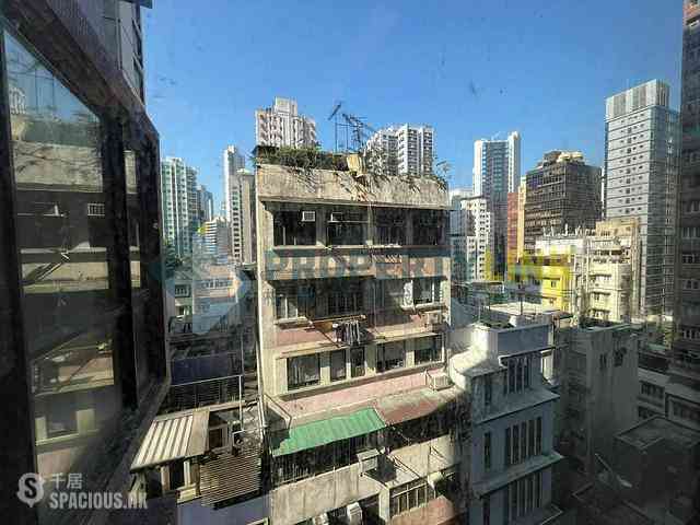 Poho - Rich View Terrace 12