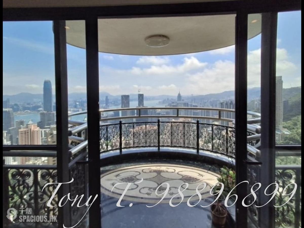 中半山 - 嘉富麗苑1座 01