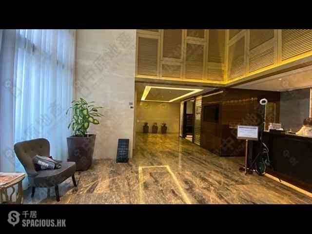 Sai Ying Pun - The Summa 01