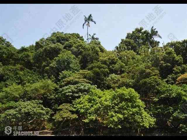 Pok Fu Lam - Baguio Villa 01