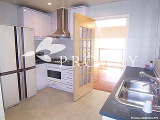 Stanley - Redhill Peninsula 12
