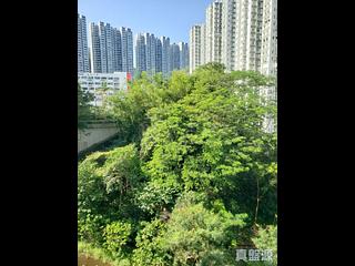 Quarry Bay - Kornhill Block P 09