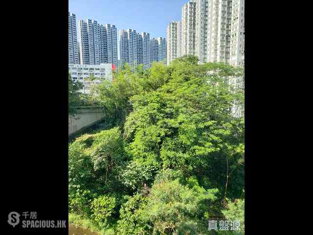 Quarry Bay - Kornhill Block P 09