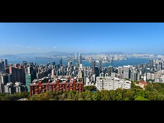 山顶 - 种植道56号 11