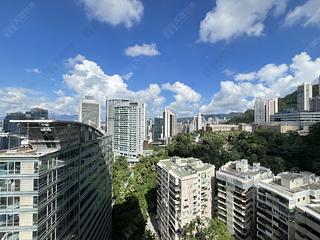 中半山 - 寶樺臺 03