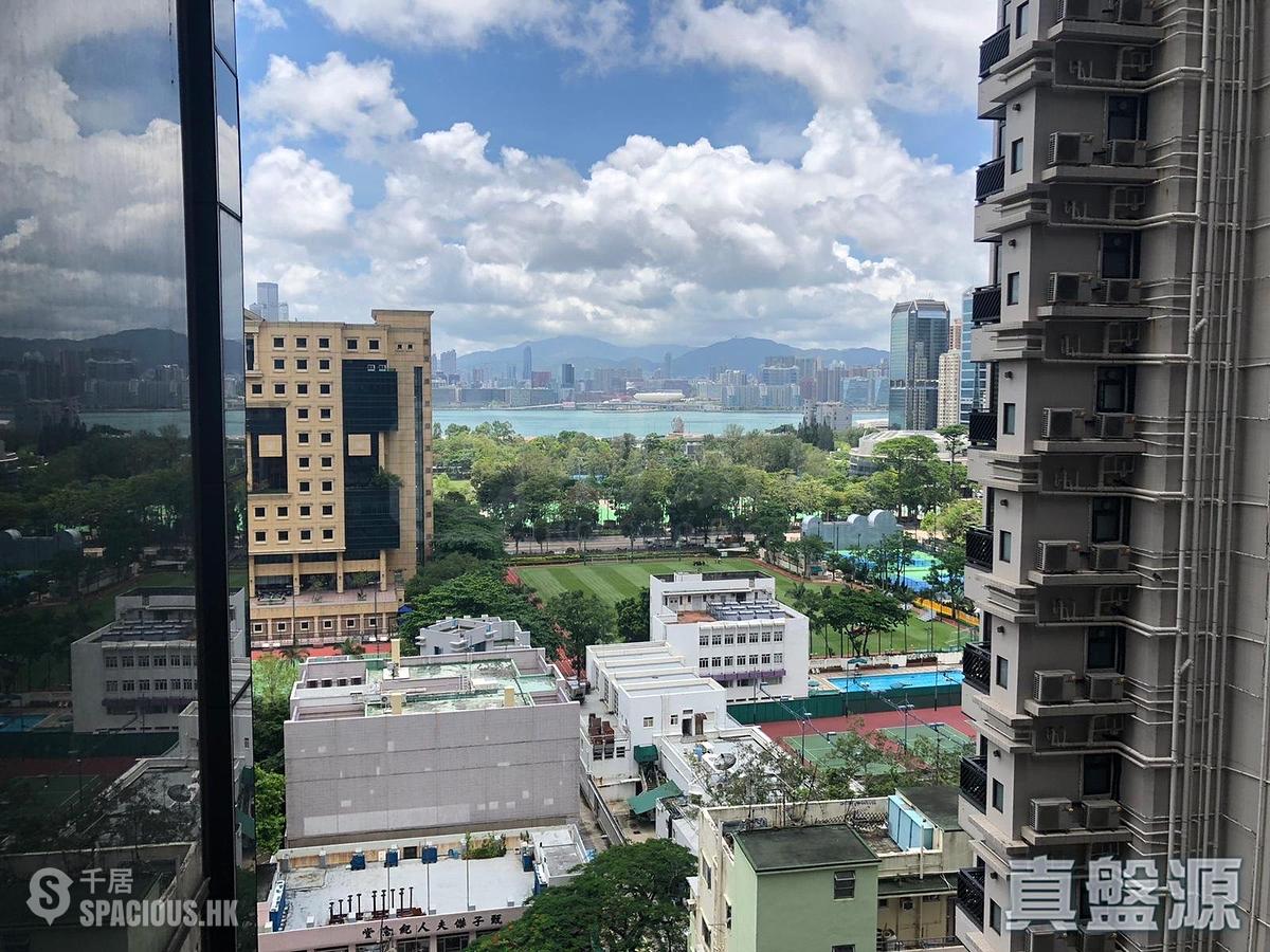 Causeway Bay - Jones Hive 01