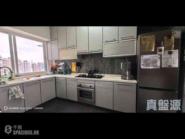 Braemar Hill - Ho King View 04