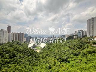 跑马地 - 渣甸山花园大厦 02