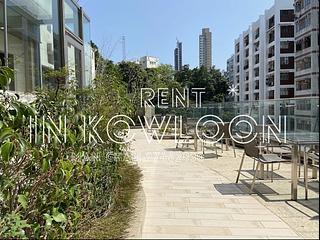 Sham Shui Po - Gardenia 13
