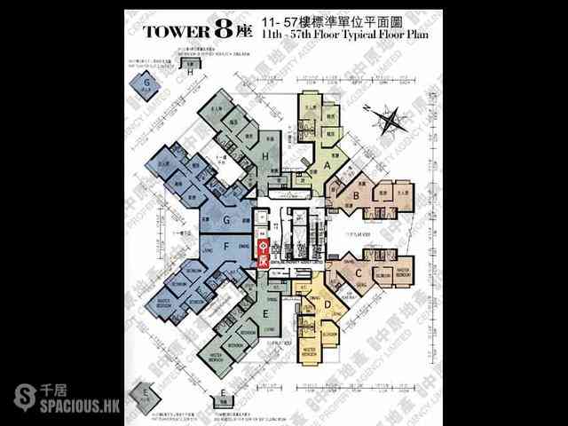 Shek Tong Tsui - The Belcher's 02