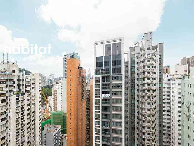 Happy Valley - The Aster (Resiglow) 14