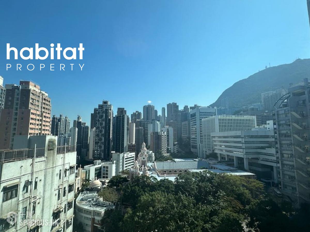 Shek Tong Tsui - The Hilltop 01