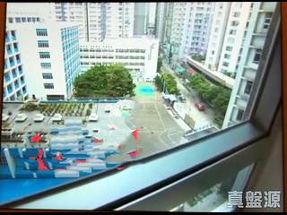 North Point - City Garden 04