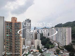 大坑 - 春晖8号 04
