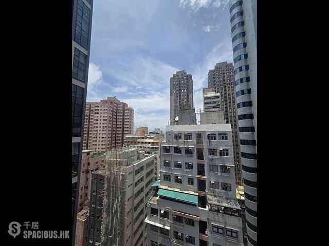 Sai Ying Pun - Two・Artlane 02